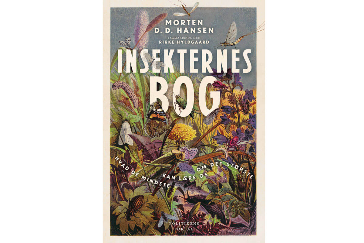 Insekternes-bog-af-Morten-D.D-Hansen-og-Rikke-Hyldgaard.jpg
