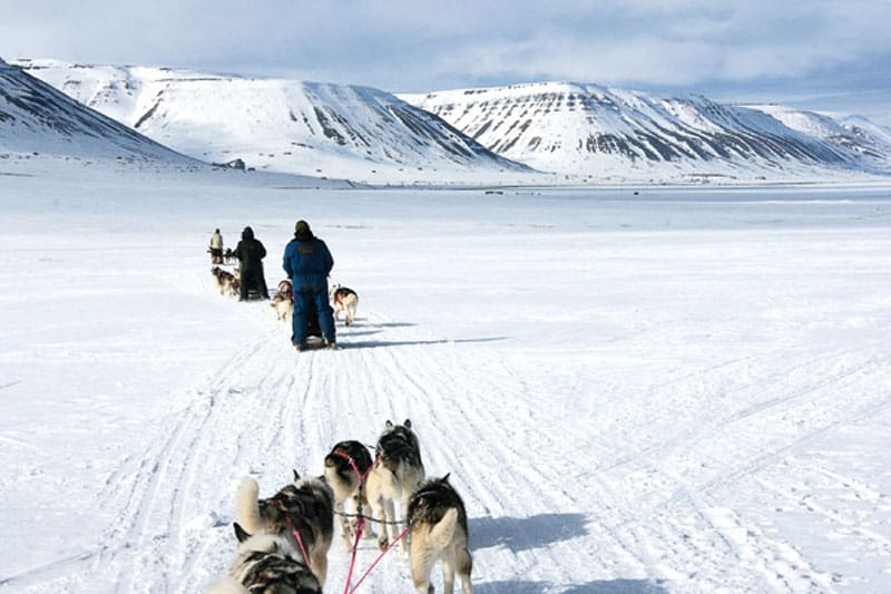 Hundeslæde på Svalbard 4