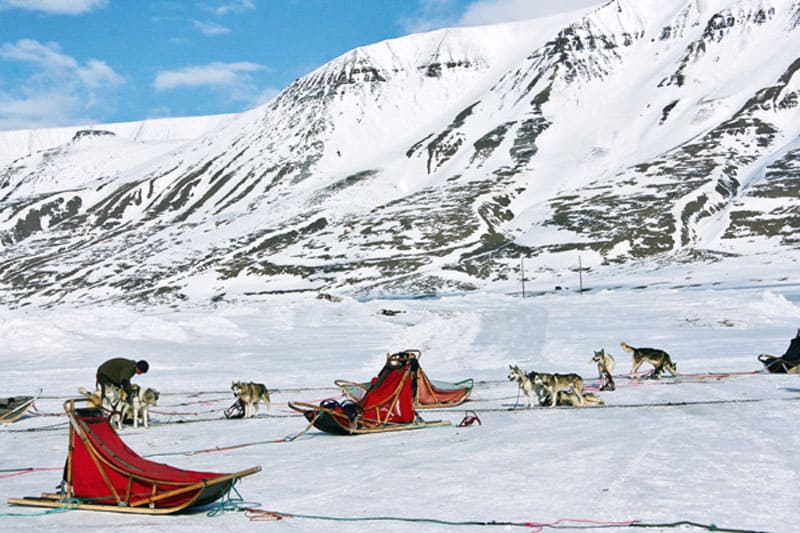 Hundeslæde på Svalbard 3