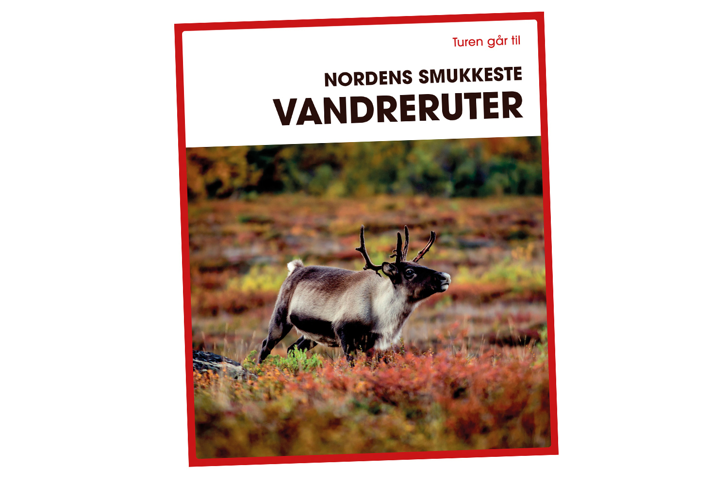 Ny bog: Nordens smukkeste vandreruter