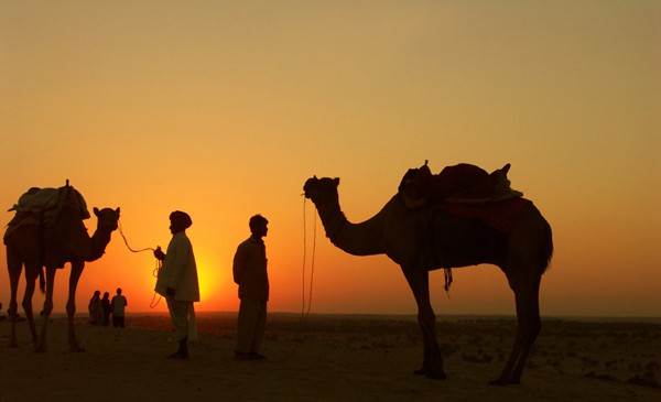 Kamelsafari_Jaisalmer_Rajasthan_Foto_Vera_Bogaerts.JPG
