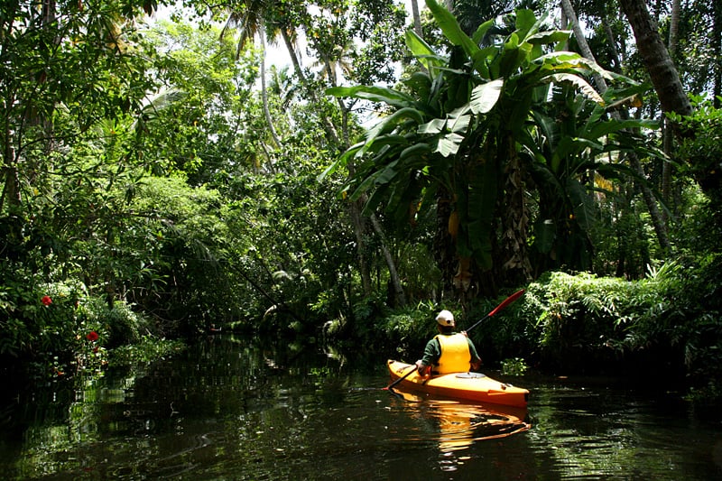 I kajak og husbåd på Keralas tropiske kanaler
