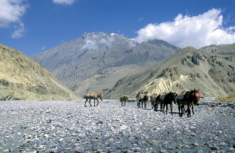Vandring i Mustang - Nepals afsidesliggende kongedømme