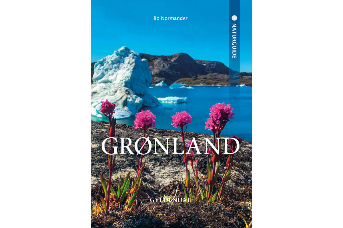 Naturguide Grønland