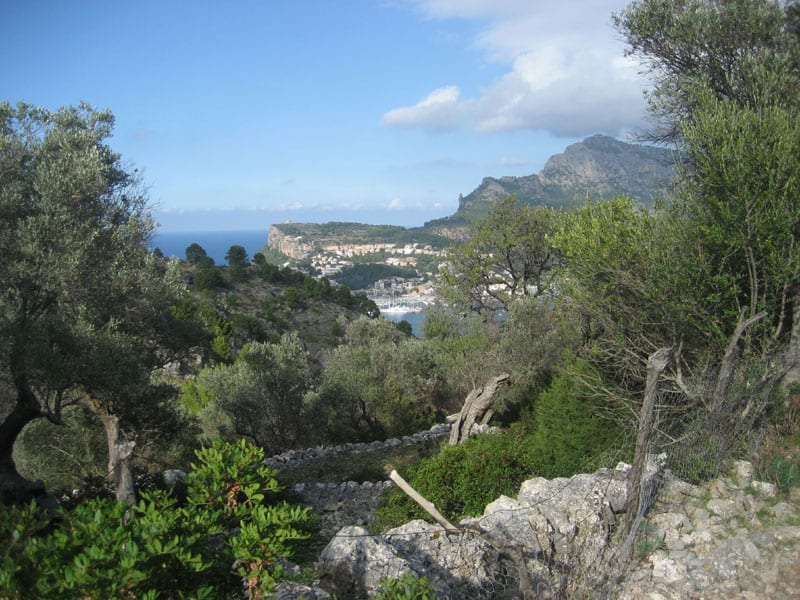 Mallorca bjergsti-m-havudsi