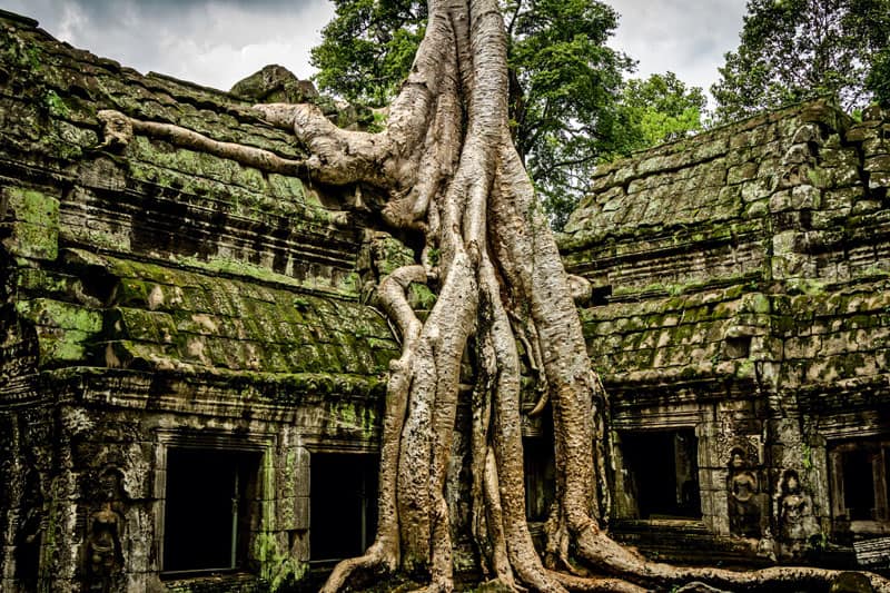 Glemt tempelby fundet i Cambodja