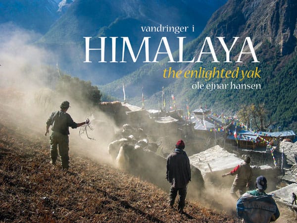 Vandringer i Himalaya - The Enlighted Yak