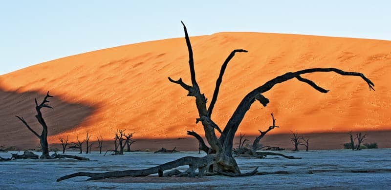 Fotoekspedition til Namibia