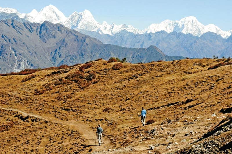Tehustrek i Nepals Langtang-område