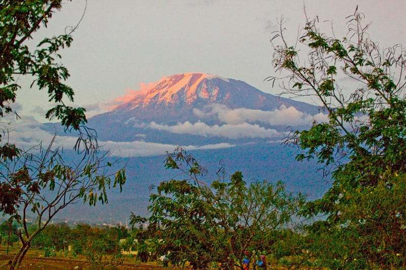Sådan kommer du på toppen af Kilimanjaro