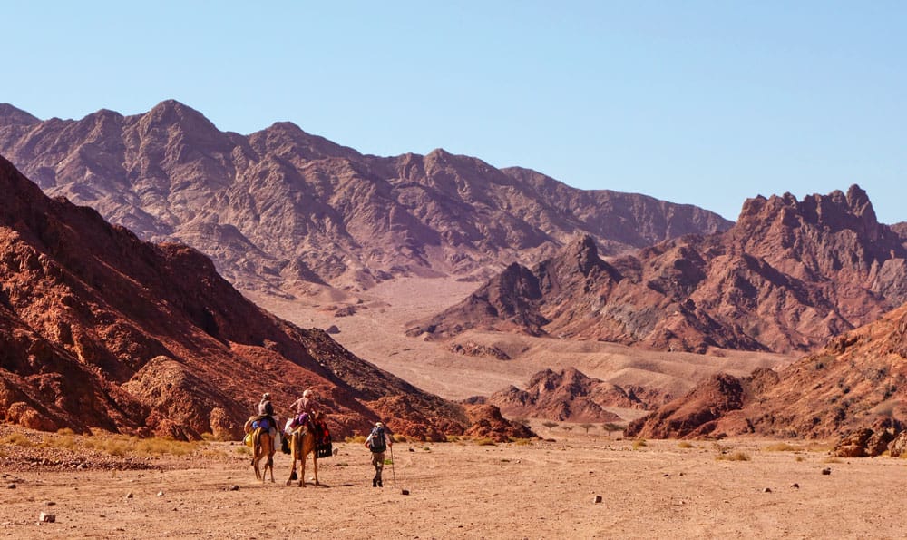 Karavanevandring over Sinai