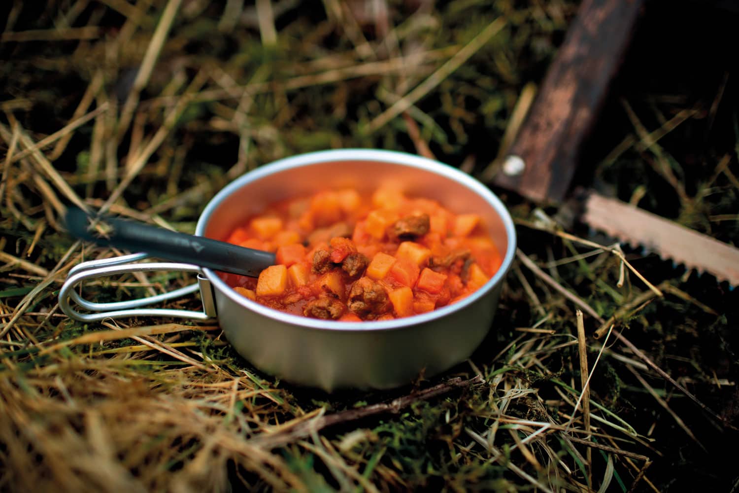 Trail Beef and potato stew 