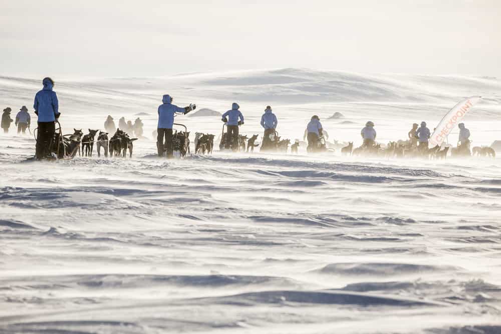 Fjällräven Polar - hundeslæde i arktisk Norge