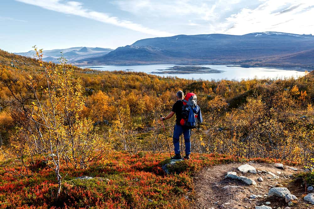 Sveriges 30 nationalparker