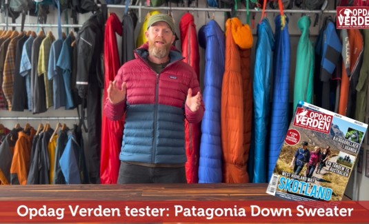 Patagonia Down Sweater